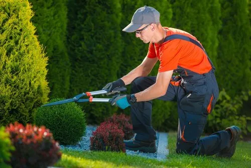 clean garden